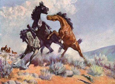Smoky il cavallo da rodeo da Unbekannt Unbekannt